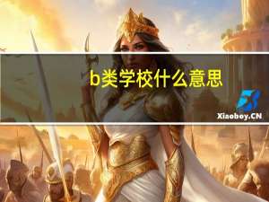 b类学校什么意思