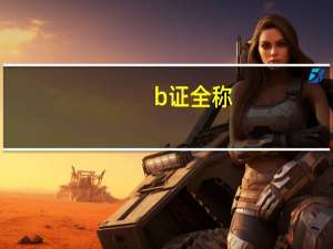 b证全称