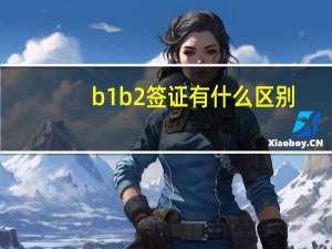 b1b2签证有什么区别