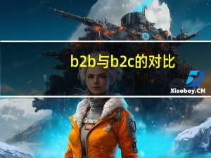b2b与b2c的对比
