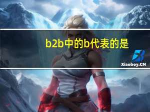 b2b中的b代表的是
