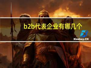 b2b代表企业有哪几个