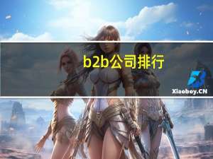 b2b公司排行