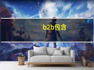 b2b包含