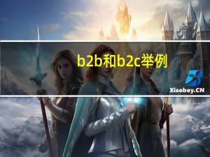b2b和b2c举例