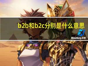 b2b和b2c分别是什么意思