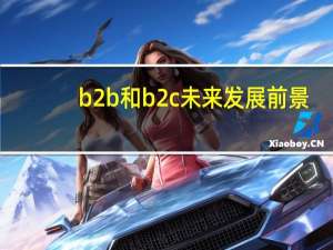 b2b和b2c未来发展前景
