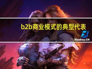 b2b商业模式的典型代表