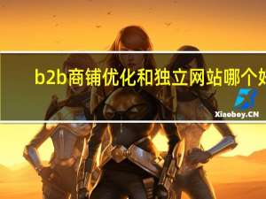 b2b商铺优化和独立网站哪个好