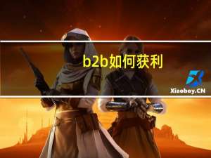 b2b如何获利