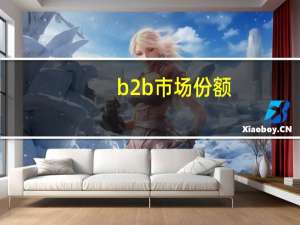 b2b市场份额