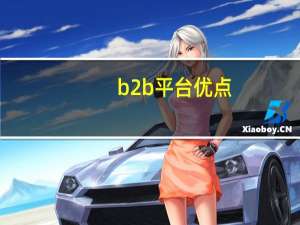 b2b平台优点