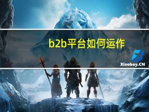 b2b平台如何运作