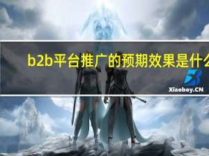 b2b平台推广的预期效果是什么