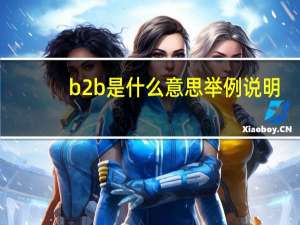b2b是什么意思举例说明