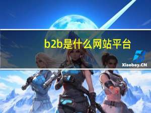 b2b是什么网站平台