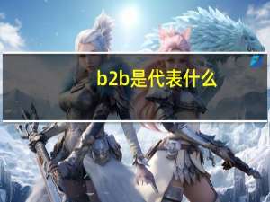 b2b是代表什么