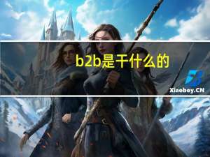 b2b是干什么的