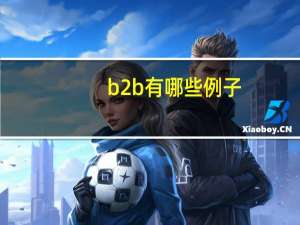 b2b有哪些例子