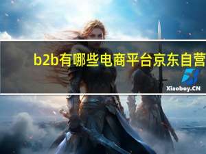 b2b有哪些电商平台京东自营