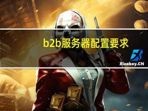 b2b服务器配置要求