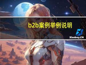b2b案例举例说明
