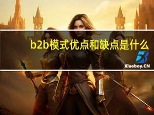 b2b模式优点和缺点是什么