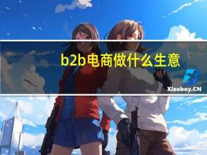 b2b电商做什么生意