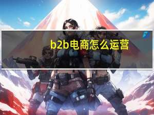 b2b电商怎么运营