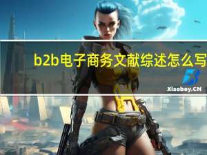 b2b电子商务文献综述怎么写