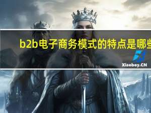 b2b电子商务模式的特点是哪些