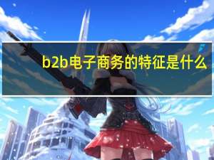 b2b电子商务的特征是什么