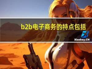 b2b电子商务的特点包括