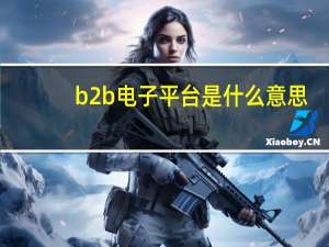 b2b电子平台是什么意思