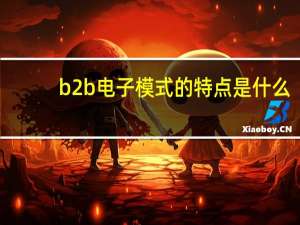b2b电子模式的特点是什么