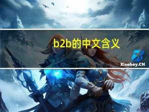 b2b的中文含义