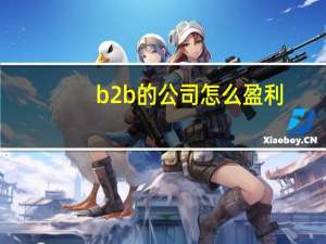 b2b的公司怎么盈利