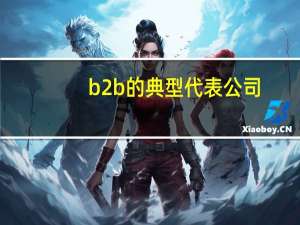 b2b的典型代表公司