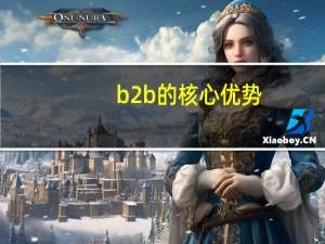 b2b的核心优势