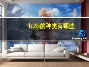 b2b的种类有哪些