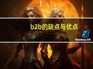 b2b的缺点与优点