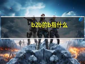 b2b的b指什么