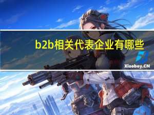 b2b相关代表企业有哪些