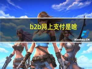 b2b网上支付是啥