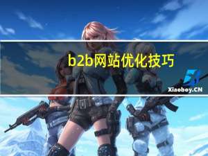 b2b网站优化技巧