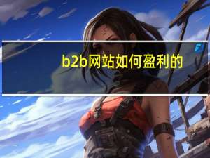 b2b网站如何盈利的