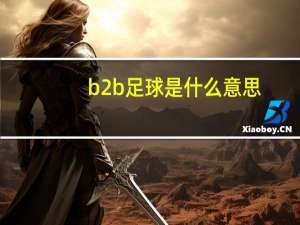 b2b足球是什么意思