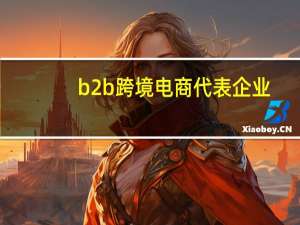 b2b跨境电商代表企业