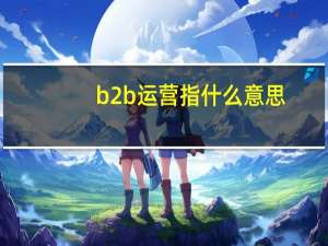 b2b运营指什么意思