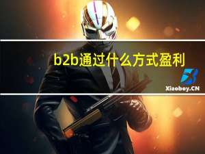 b2b通过什么方式盈利
